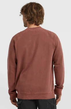 Homme O'Neill Sweats & Pulls|Protection Anti-Uv-HommesSweatshirt à col rond O'Riginals| Brun