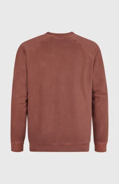 Homme O'Neill Sweats & Pulls|Protection Anti-Uv-HommesSweatshirt à col rond O'Riginals| Brun