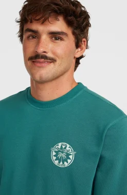 Homme O'Neill Sweats & Pulls|Protection Anti-Uv-HommesSweatshirt Must-Have Graphic Crew| Vert