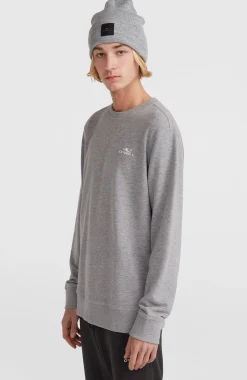 Homme O'Neill Sweats & Pulls|Protection Anti-Uv-HommesSweatshirt Small Logo Crew| Gris