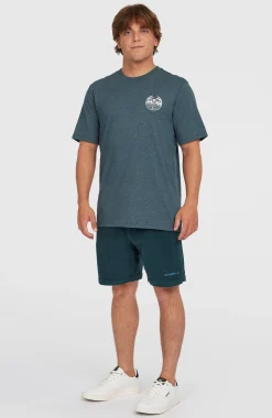 Homme O'Neill T-Shirts|Protection Anti-Uv-HommesT-shirt Back Print| Bleu