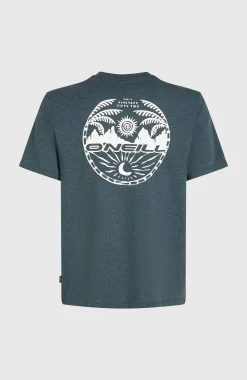 Homme O'Neill T-Shirts|Protection Anti-Uv-HommesT-shirt Back Print| Bleu