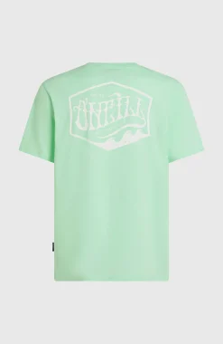 Homme O'Neill T-Shirts|Protection Anti-Uv-HommesT-shirt Box Logo| Vert
