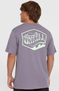 Homme O'Neill T-Shirts|Protection Anti-Uv-HommesT-shirt Box Logo| Violet