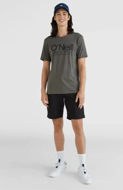 Homme O'Neill T-Shirts|Protection Anti-Uv-HommesT-shirt Cali Original| Vert