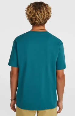 Homme O'Neill T-Shirts|Protection Anti-Uv-HommesT-shirt Chest Print| Vert