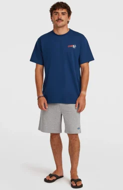 Homme O'Neill T-Shirts|Protection Anti-Uv-HommesT-shirt Essentials 90s Graphic| Bleu