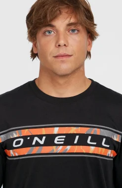 Homme O'Neill T-Shirts|Protection Anti-Uv-HommesT-shirt Front Graphic| Noire