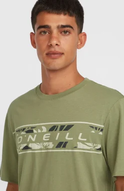 Homme O'Neill T-Shirts|Protection Anti-Uv-HommesT-shirt Front Graphic| Vert