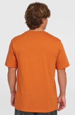 Homme O'Neill T-Shirts|Protection Anti-Uv-HommesT-shirt Front Print| Orange