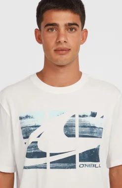 Homme O'Neill T-Shirts|Protection Anti-Uv-HommesT-shirt Gradient| Blanc