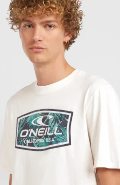 Homme O'Neill T-Shirts|Protection Anti-Uv-HommesT-shirt Graphic| Blanc
