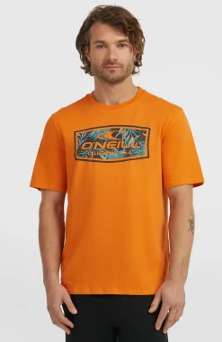 Homme O'Neill T-Shirts|Protection Anti-Uv-HommesT-shirt Graphic| Orange