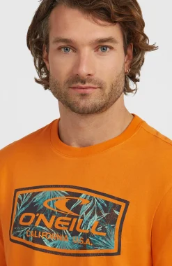 Homme O'Neill T-Shirts|Protection Anti-Uv-HommesT-shirt Graphic| Orange