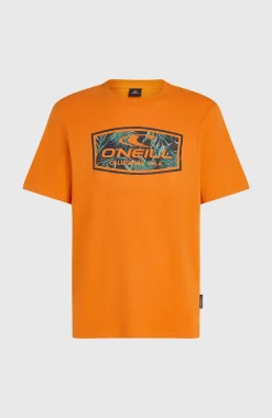 Homme O'Neill T-Shirts|Protection Anti-Uv-HommesT-shirt Graphic| Orange