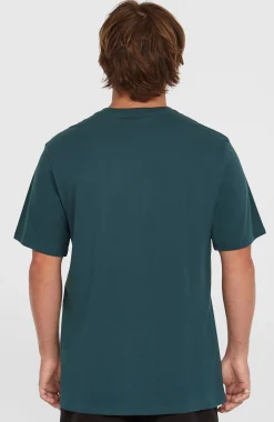 Homme O'Neill T-Shirts|Protection Anti-Uv-HommesT-shirt Logo| Bleu