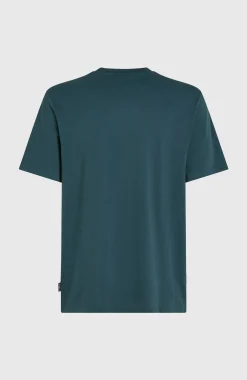 Homme O'Neill T-Shirts|Protection Anti-Uv-HommesT-shirt Logo| Bleu