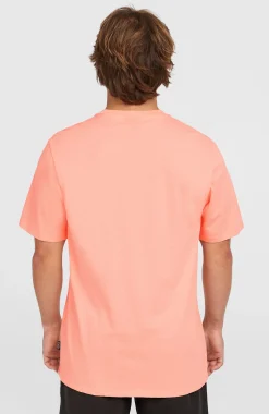 Homme O'Neill T-Shirts|Protection Anti-Uv-HommesT-shirt Logo| Rose
