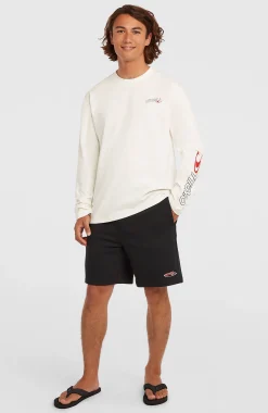 Homme O'Neill T-Shirts|Protection Anti-Uv-HommesT-shirt manches longues Essentials 90s Logo| Blanc