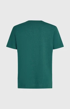 Homme O'Neill T-Shirts|Protection Anti-Uv-HommesT-shirt Melange Chest-Print| Vert