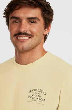 Homme O'Neill T-Shirts|Protection Anti-Uv-HommesT-shirt Melange Chest-Print| Beige
