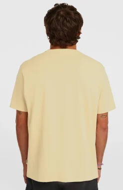 Homme O'Neill T-Shirts|Protection Anti-Uv-HommesT-shirt Melange Chest-Print| Beige