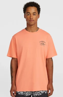 Homme O'Neill T-Shirts|Protection Anti-Uv-HommesT-shirt Melange Chest-Print| Orange