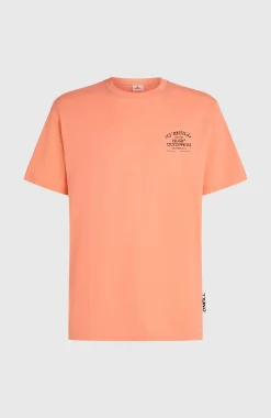 Homme O'Neill T-Shirts|Protection Anti-Uv-HommesT-shirt Melange Chest-Print| Orange