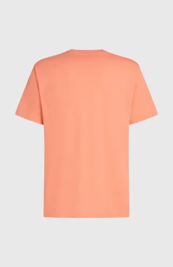 Homme O'Neill T-Shirts|Protection Anti-Uv-HommesT-shirt Melange Chest-Print| Orange