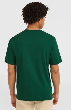 Homme O'Neill T-Shirts|Protection Anti-Uv-HommesT-shirt Muir| Vert