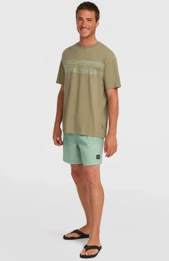 Homme O'Neill T-Shirts|Protection Anti-Uv-HommesT-shirt Flower Stripe| Vert