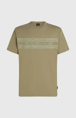 Homme O'Neill T-Shirts|Protection Anti-Uv-HommesT-shirt Flower Stripe| Vert