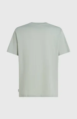 Homme O'Neill T-Shirts|Protection Anti-Uv-HommesT-shirt Gradient| Vert