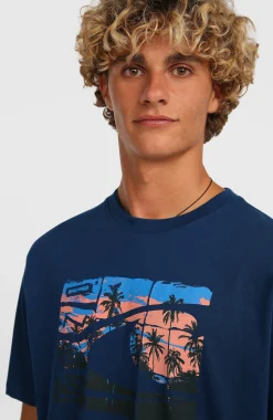 Homme O'Neill T-Shirts|Protection Anti-Uv-HommesT-shirt Gradient| Bleu