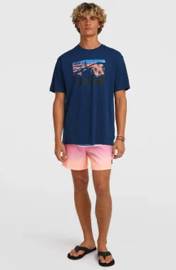 Homme O'Neill T-Shirts|Protection Anti-Uv-HommesT-shirt Gradient| Bleu