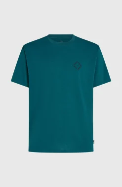 Homme O'Neill T-Shirts|Protection Anti-Uv-HommesT-shirt Hybrid Polygiene Back-Print| Vert