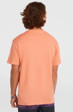 Homme O'Neill T-Shirts|Protection Anti-Uv-HommesT-shirt Logo Stripe| Orange