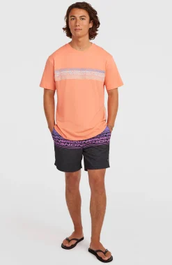 Homme O'Neill T-Shirts|Protection Anti-Uv-HommesT-shirt Logo Stripe| Orange