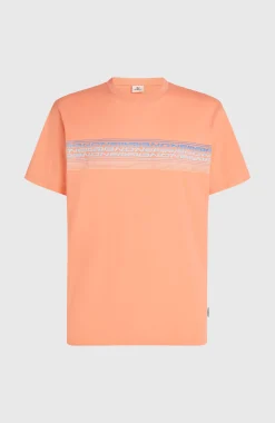 Homme O'Neill T-Shirts|Protection Anti-Uv-HommesT-shirt Logo Stripe| Orange