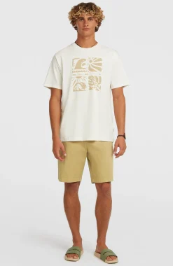 Homme O'Neill T-Shirts|Protection Anti-Uv-HommesT-shirt Melange Front-Print| Blanc