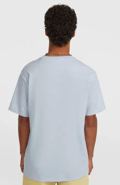Homme O'Neill T-Shirts|Protection Anti-Uv-HommesT-shirt Must-Have Graphic| Bleu