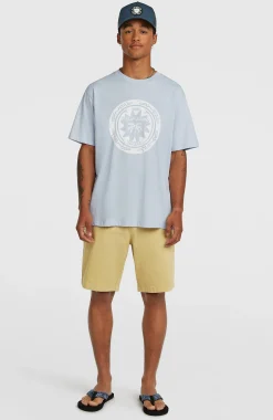 Homme O'Neill T-Shirts|Protection Anti-Uv-HommesT-shirt Must-Have Graphic| Bleu
