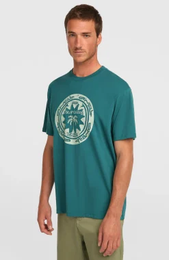 Homme O'Neill T-Shirts|Protection Anti-Uv-HommesT-shirt Must-Have Graphic| Vert