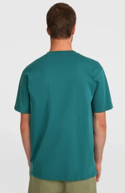 Homme O'Neill T-Shirts|Protection Anti-Uv-HommesT-shirt Must-Have Graphic| Vert