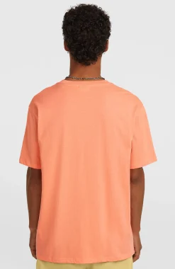 Homme O'Neill T-Shirts|Protection Anti-Uv-HommesT-shirt Must-Have Graphic| Orange