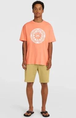 Homme O'Neill T-Shirts|Protection Anti-Uv-HommesT-shirt Must-Have Graphic| Orange
