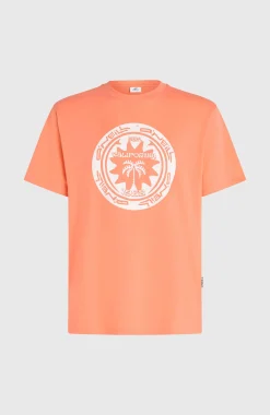 Homme O'Neill T-Shirts|Protection Anti-Uv-HommesT-shirt Must-Have Graphic| Orange