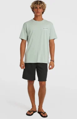 Homme O'Neill T-Shirts|Protection Anti-Uv-HommesT-shirt Retro Back-Print| Vert