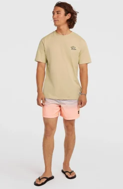 Homme O'Neill T-Shirts|Protection Anti-Uv-HommesT-shirt Retro Back-Print| Beige