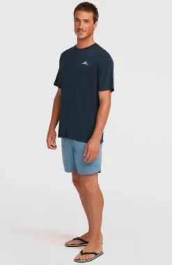 Homme O'Neill T-Shirts|Protection Anti-Uv-HommesT-shirt Small Logo| Bleu